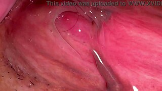 Amateur Pink Pussy, 172 Days Post-Virginity, Still Feels So Raw and Tight. Can't Believe How Wet She Gets!